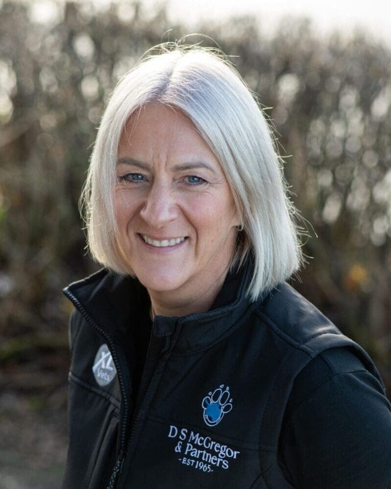 D S McGregor Team Member